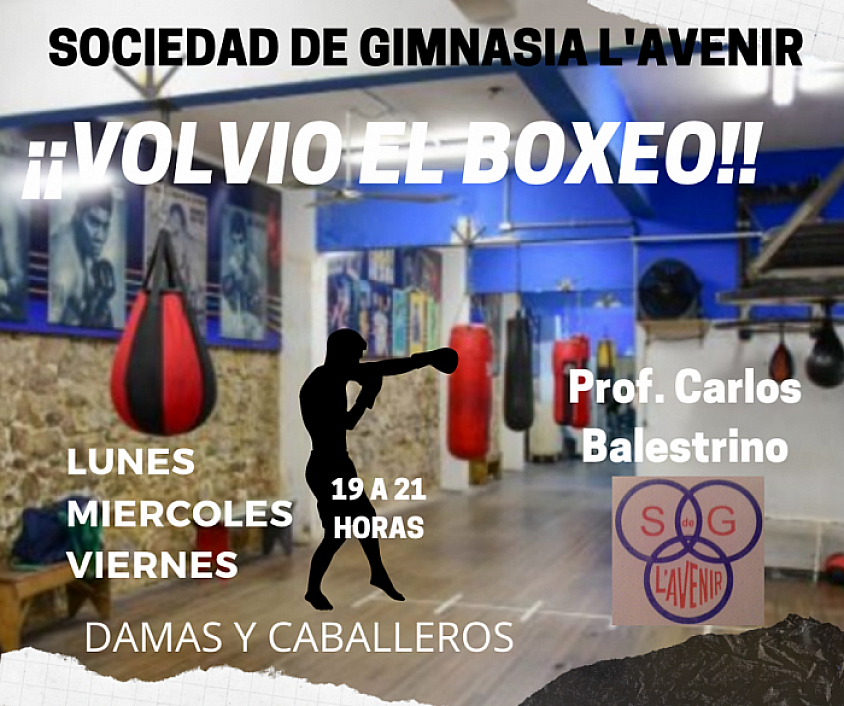 Tu sitio donde entrenar boxeo, clases para damas caballeros y menores.